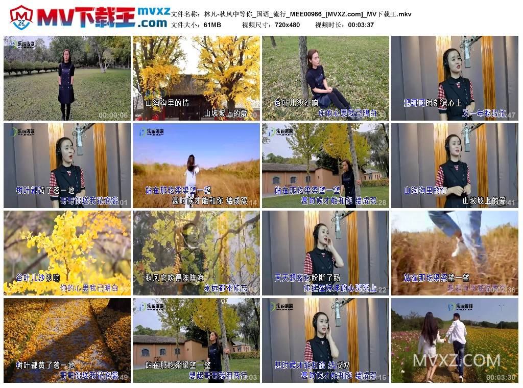 林凡-秋风中等你_国语_流行_MEE00966
